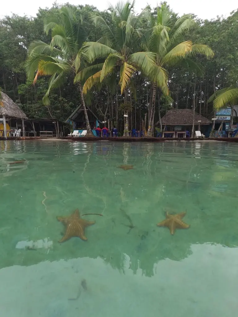 Bocas Del Toro, Panama 2024 aboard Shanti, photo 13