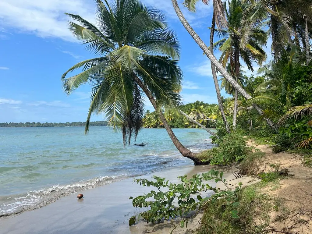 Bocas Del Toro, Panama 2024 aboard Shanti, photo 14