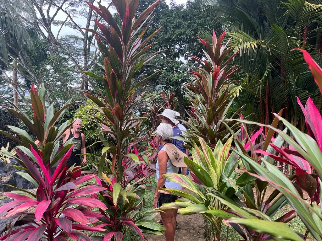 Bocas Del Toro, Panama 2024 aboard Shanti, photo 18