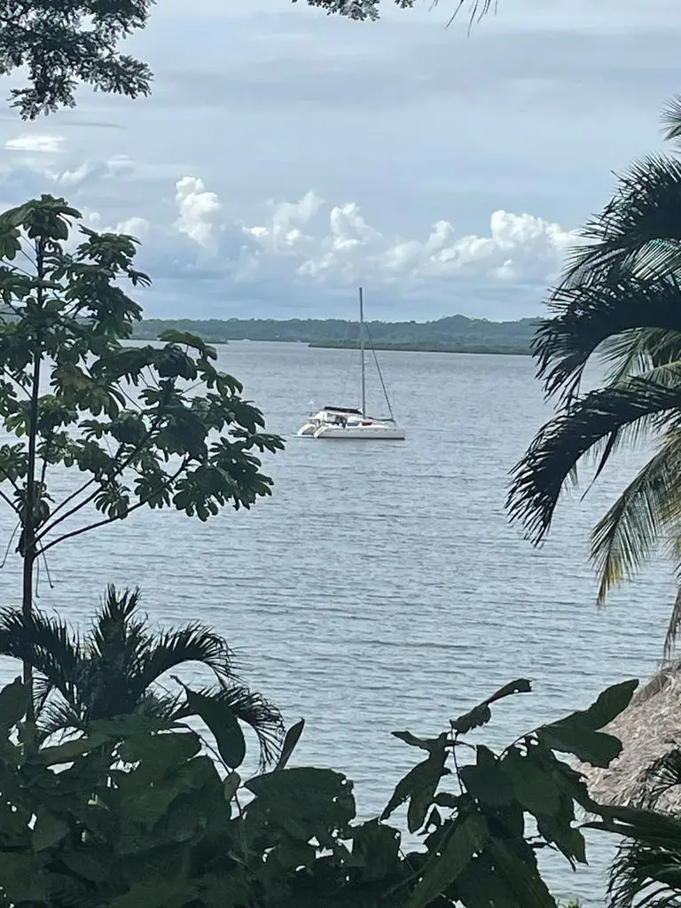 Bocas Del Toro, Panama 2024 aboard Shanti, photo 19