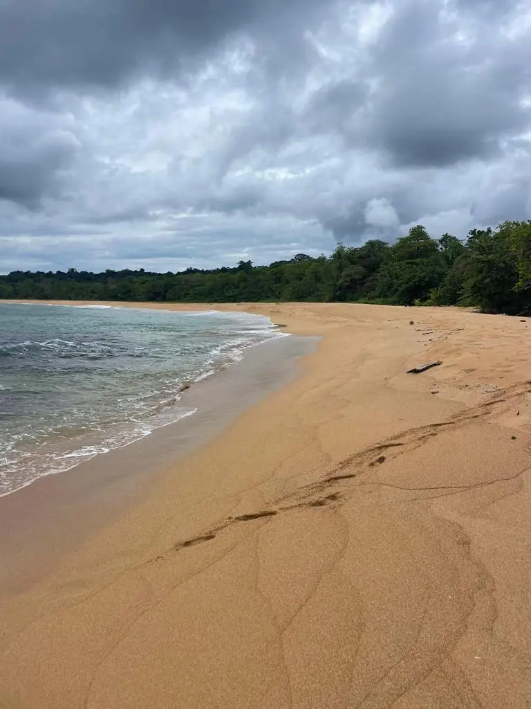 Bocas Del Toro, Panama 2024 aboard Shanti, photo 25