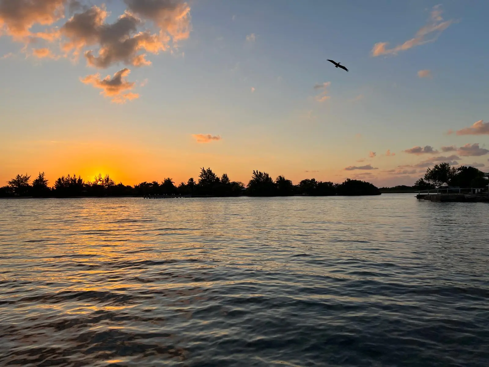 Roatan and Rio Dulce, Guatemala 2025 aboard Shanti, photo 6